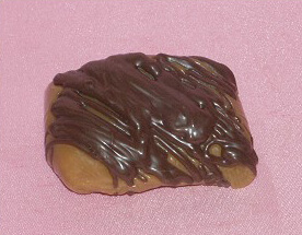 Chocolate Covered Caramels